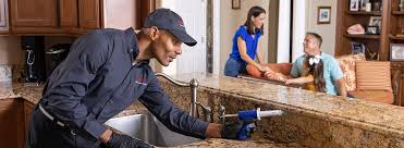 Trusted Crockett, CA Pest Control Experts